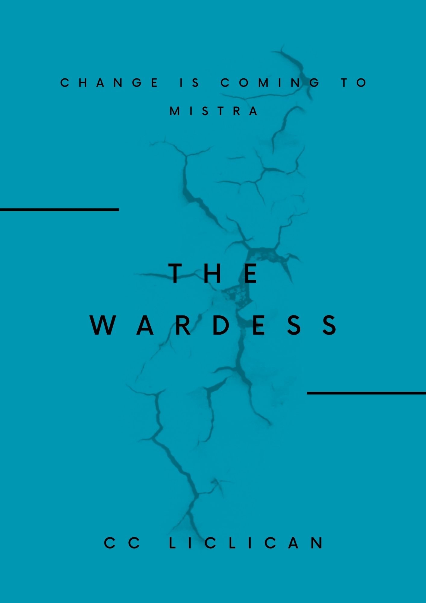 Cover of Wardess