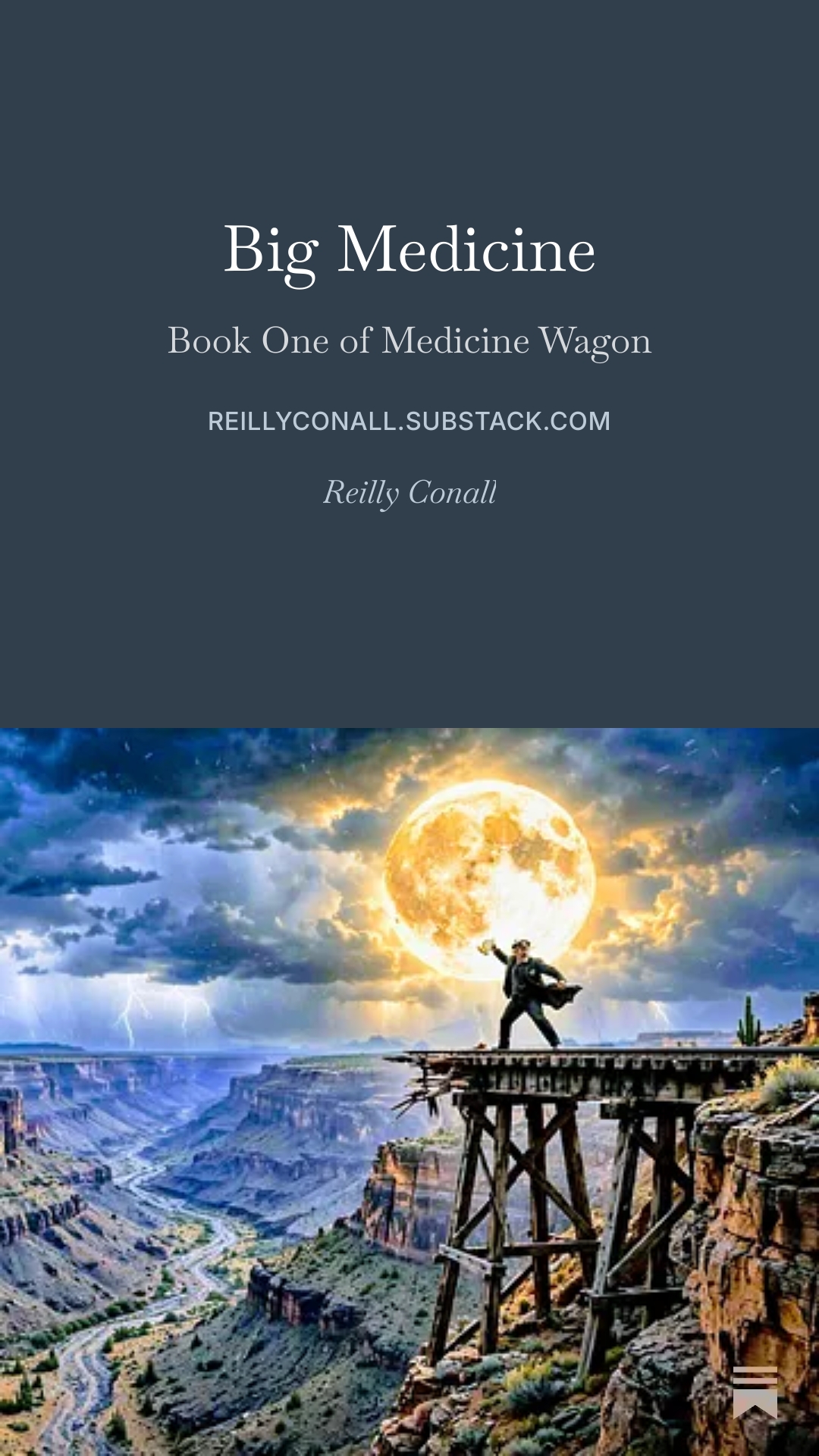 Cover of Big Medicine