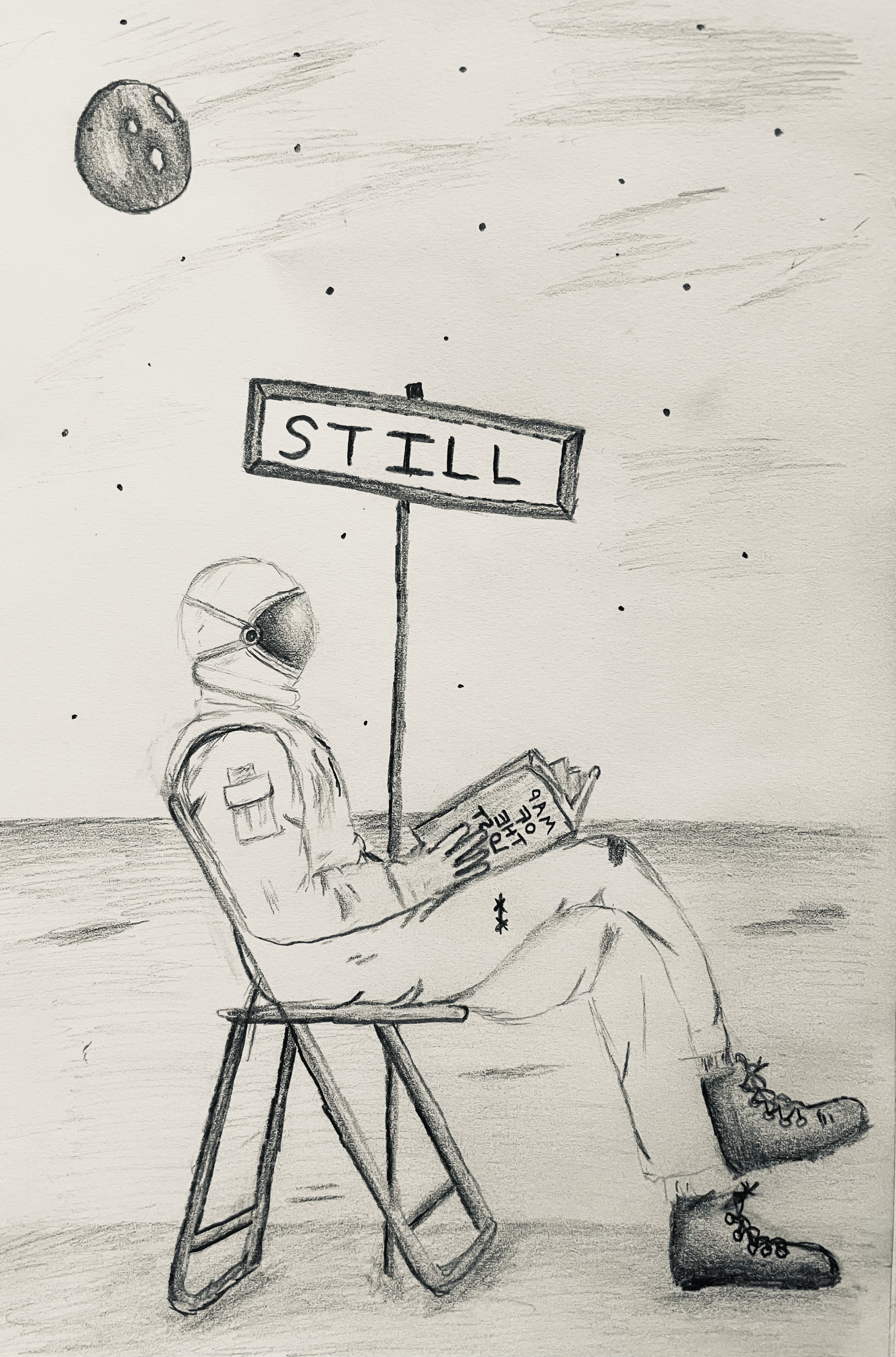 Cover of The Star Sailor